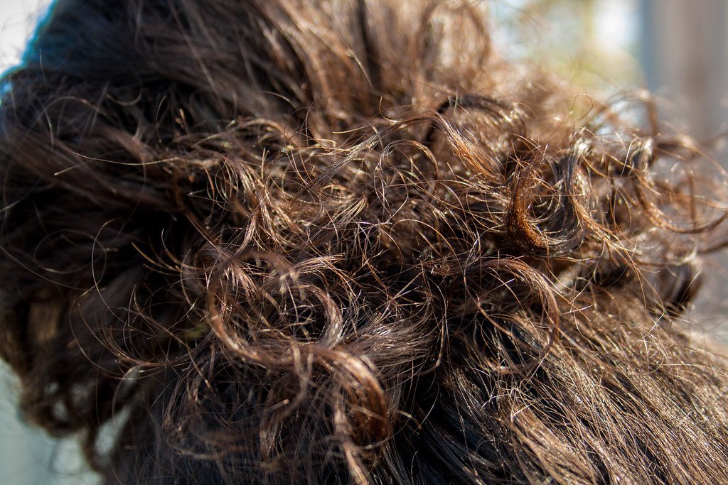 Hair: woman: dark curly