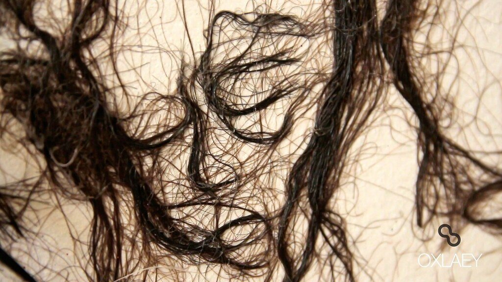 The Art of HAIR • Morteza Mottaghi • Tehran • IRAN-7