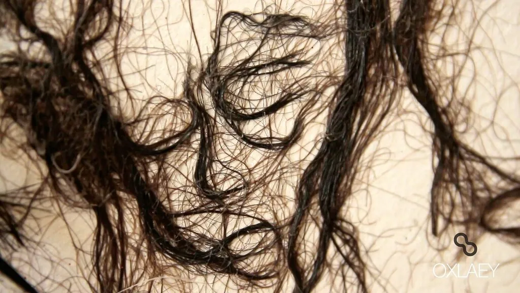 The Art of HAIR • Morteza Mottaghi • Tehran • IRAN-7