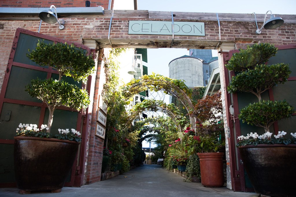 Manicured trees beneath Celadon sign
