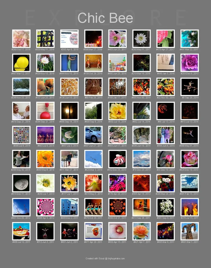 Chic's Latest 72 Photos In Explore