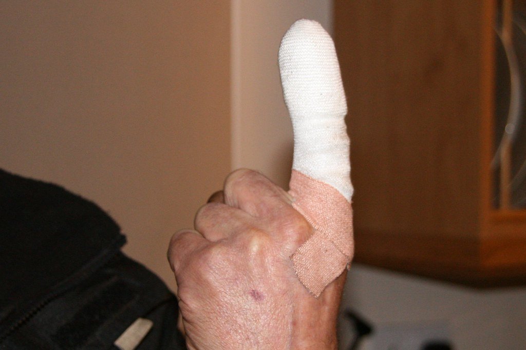 Project 365 #35: 040209 Freddy Got Fingered