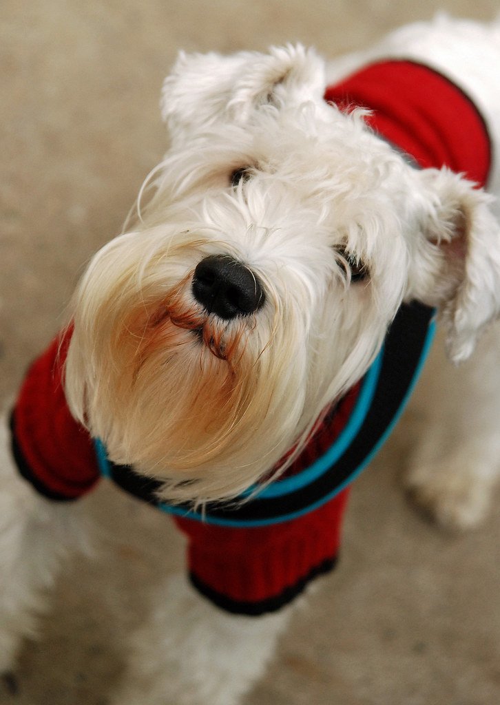 At the Columbus Day Parade