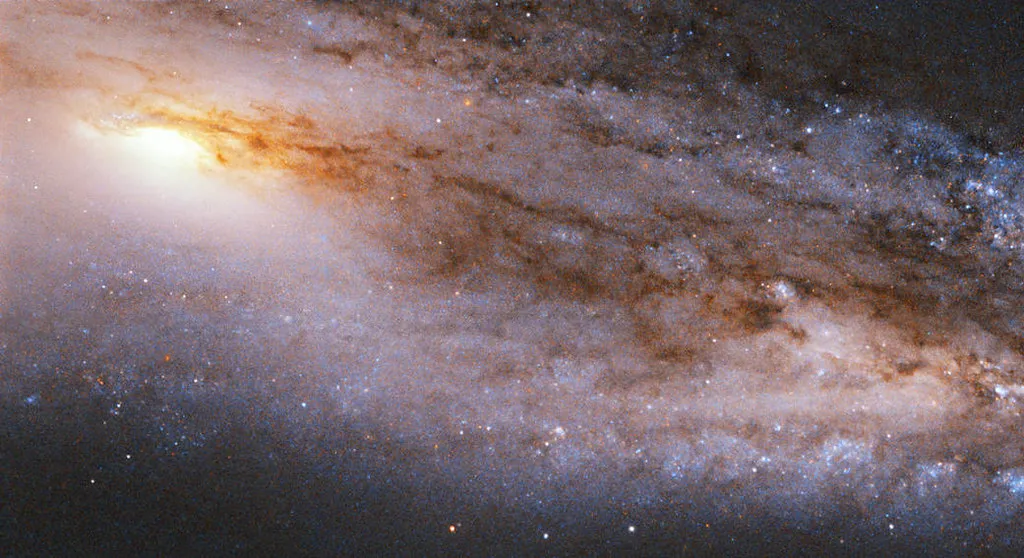 Hubble Catches a Bounty of Stars and Cosmic Dust