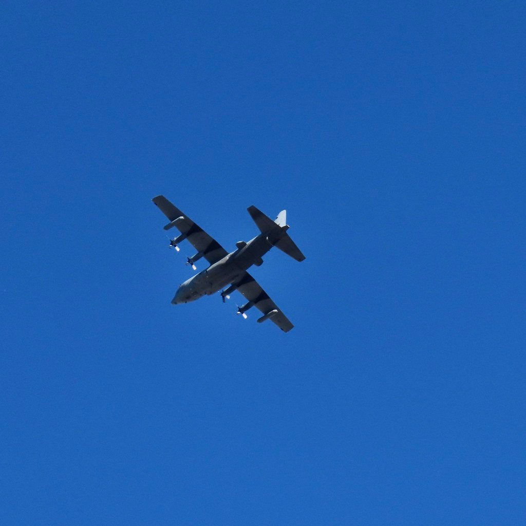 Hercules Is Heading Home-1