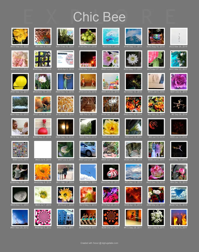 The Latest 72 of 110 Of My Images In Explore