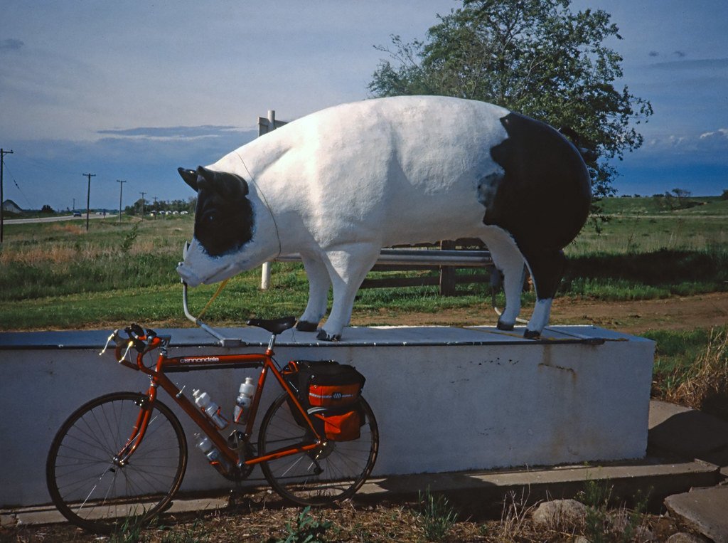 Willard