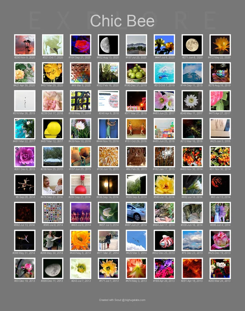 The Most Recent 72 of Chic's 124 Photos That Have Appeared In Flickr's Explore