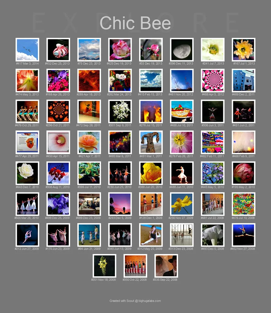 The First 59 Of Chic's 131 Photos In Explore