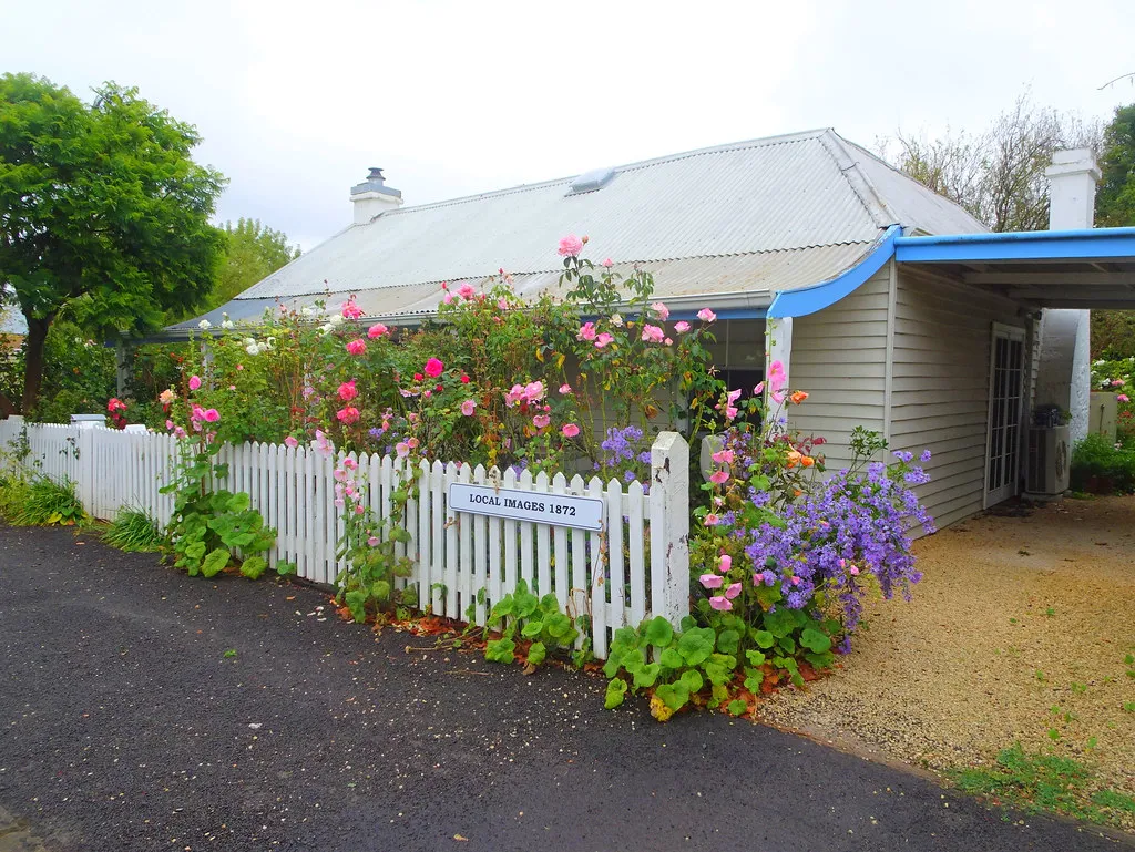 Penola. 19th century timber framed cottage and colourful cottage garden.