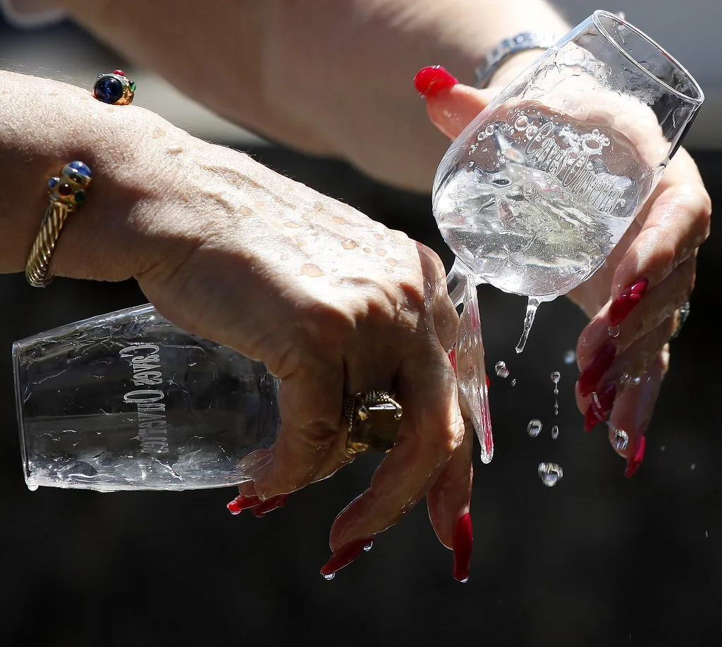 hands that do dishes
