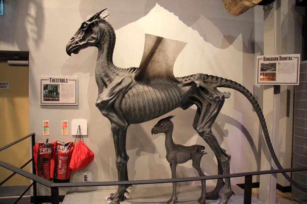 The Making of Harry Potter 29-05-2012