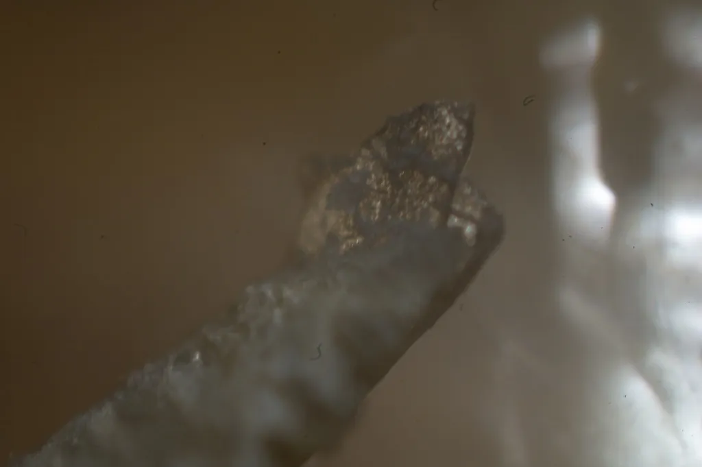Toe nail tip