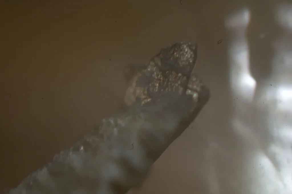 Toe nail tip