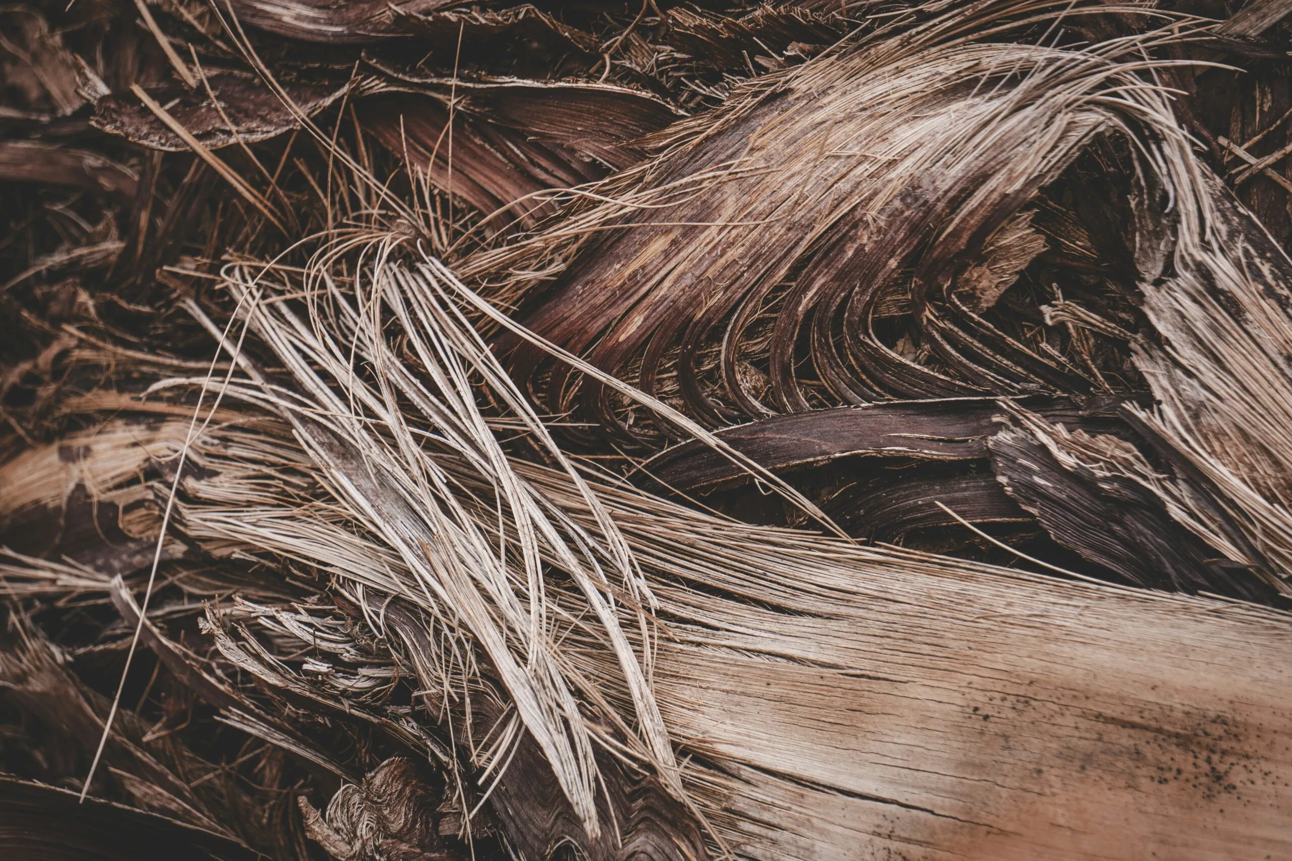 a close up of a pile of wood and grass