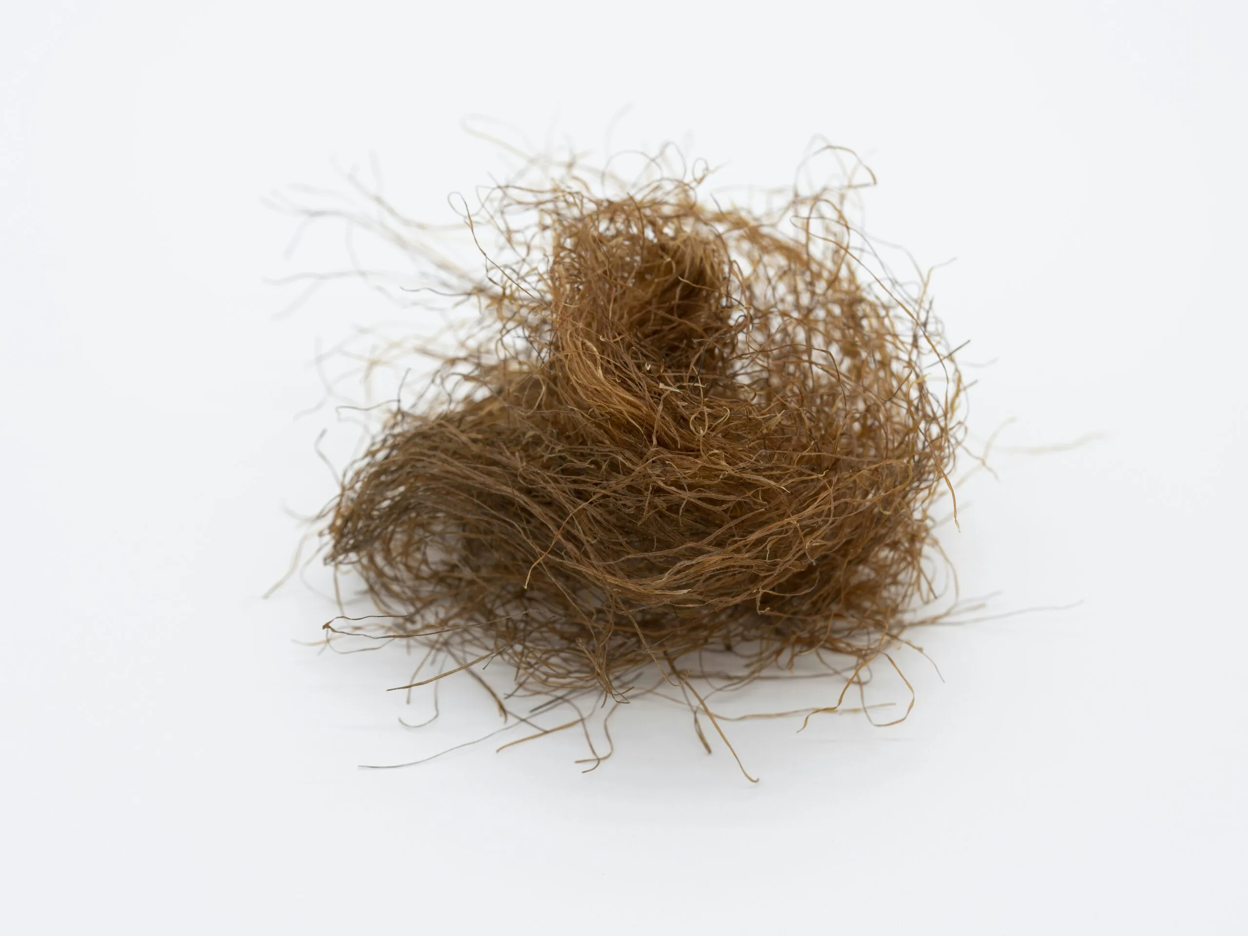 a pile of brown hair sitting on top of a white table