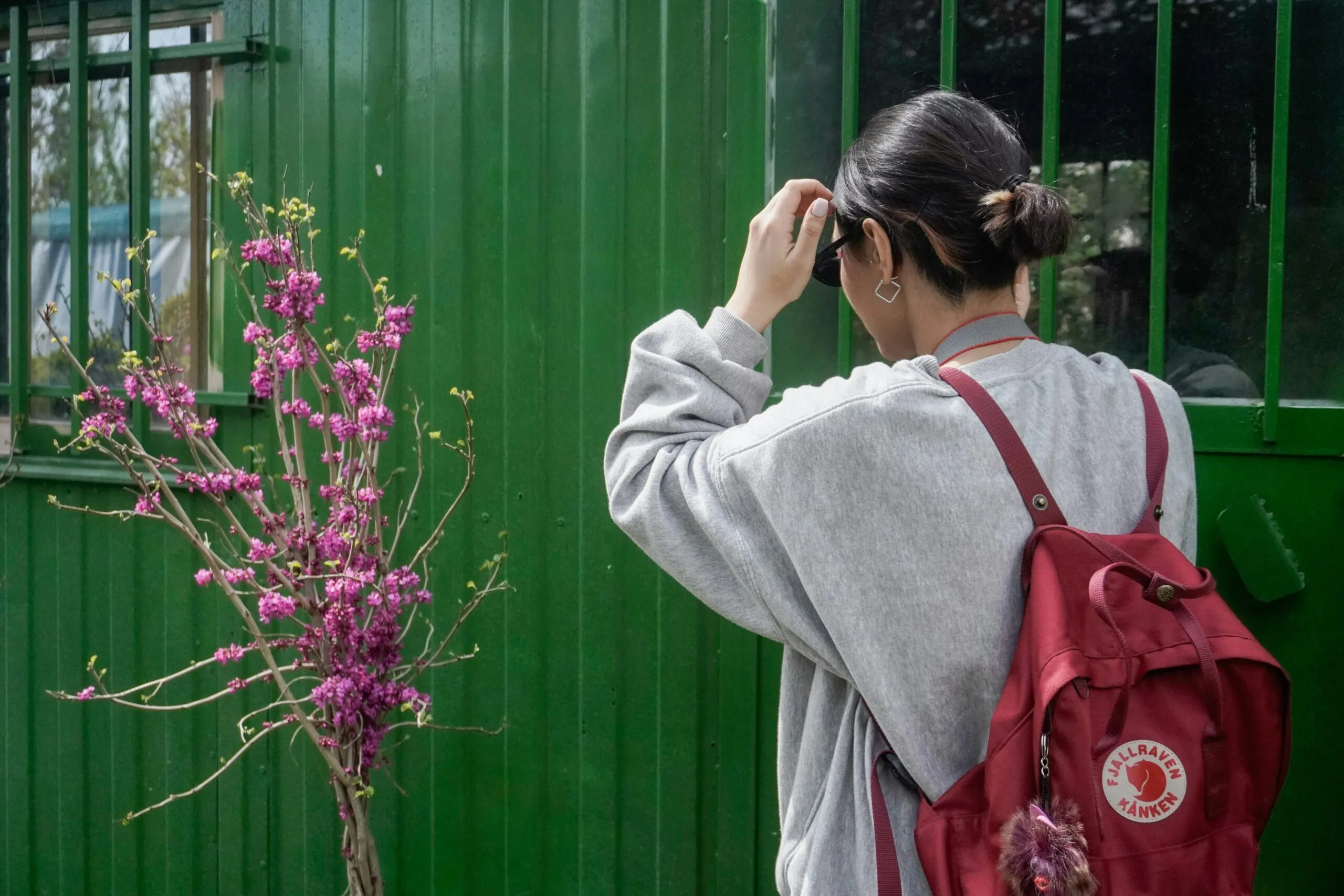 Woman photographs the colorful flowers by the green door.
