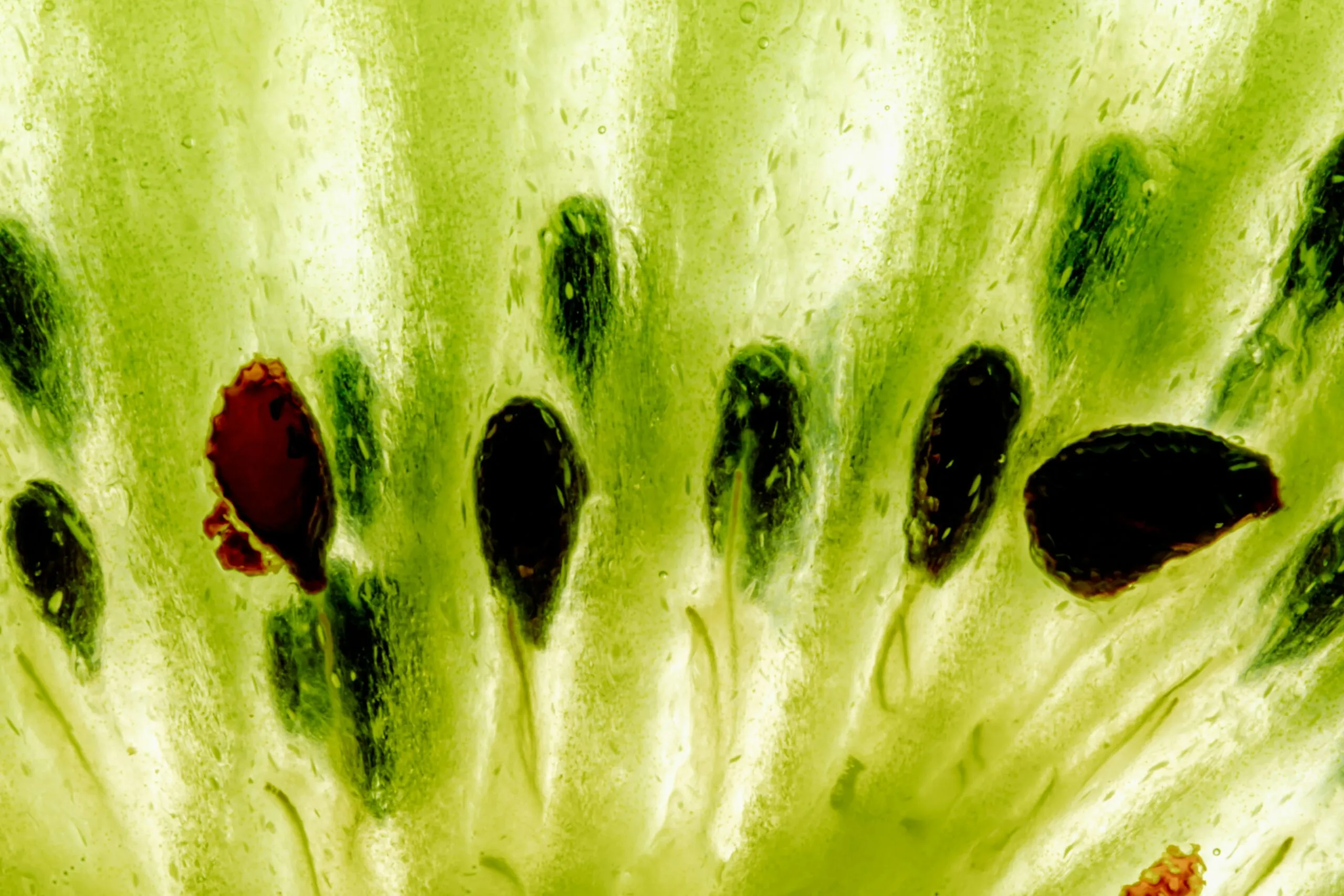 A close up of a piece of fruit with a green background