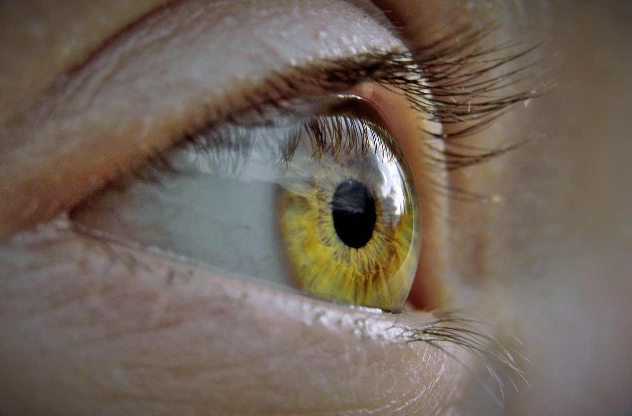 eye, eyelashes, macro, human, beauty, vision, eye, eye, eye, eye, eye, eyelashes, human, human, human, human, vision, vision