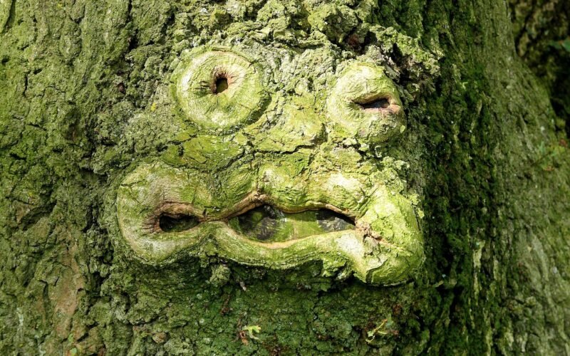 Jaki ksztalt twarzy masz?