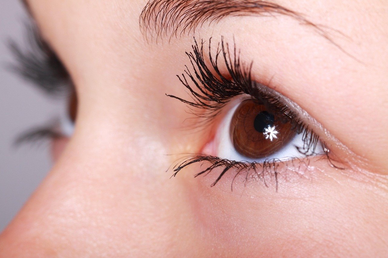 woman, beauty, eyelashes, eye, makeup, mascara, beautiful, female, girl, closeup, eye, eye, eye, eye, eye