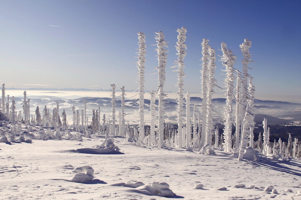 bavarian forest, three armchairs, snow landscape, winter panorama, winter magic, winter, winter landscape, winter, winter, winter, winter, winter, winter landscape