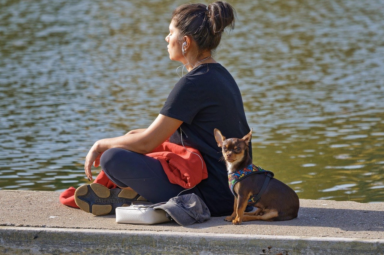 woman, meditating, lake, quay, listening, earphones, nature, dog, pet, animal, canine, together, lifestyle