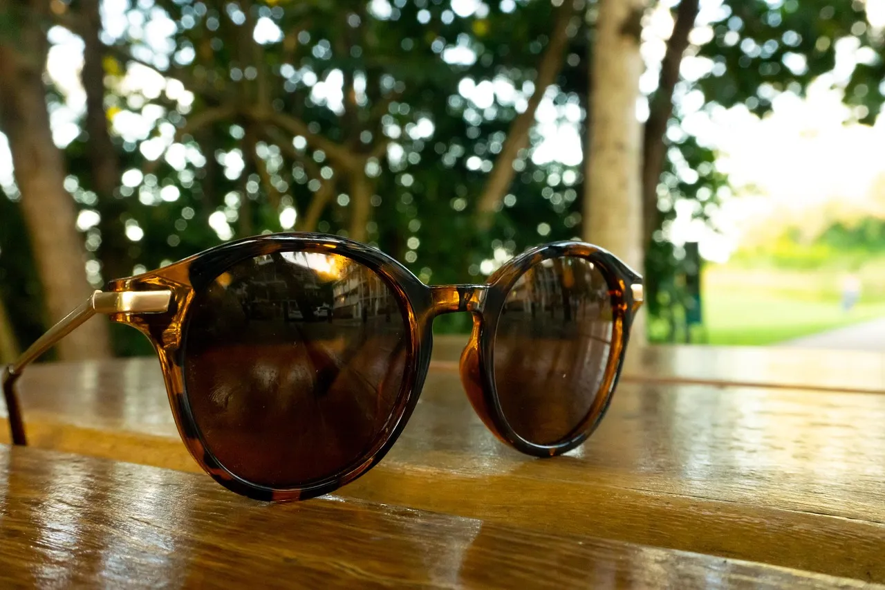 sunglasses, beach, forest, summer, sand, vacation, travel, bikini, sea, woman, sun, holiday, eyewear, nature, sunshine, vacations, sunscreen, swimsuit, relax, ocean, girl, table, tree, outdoors