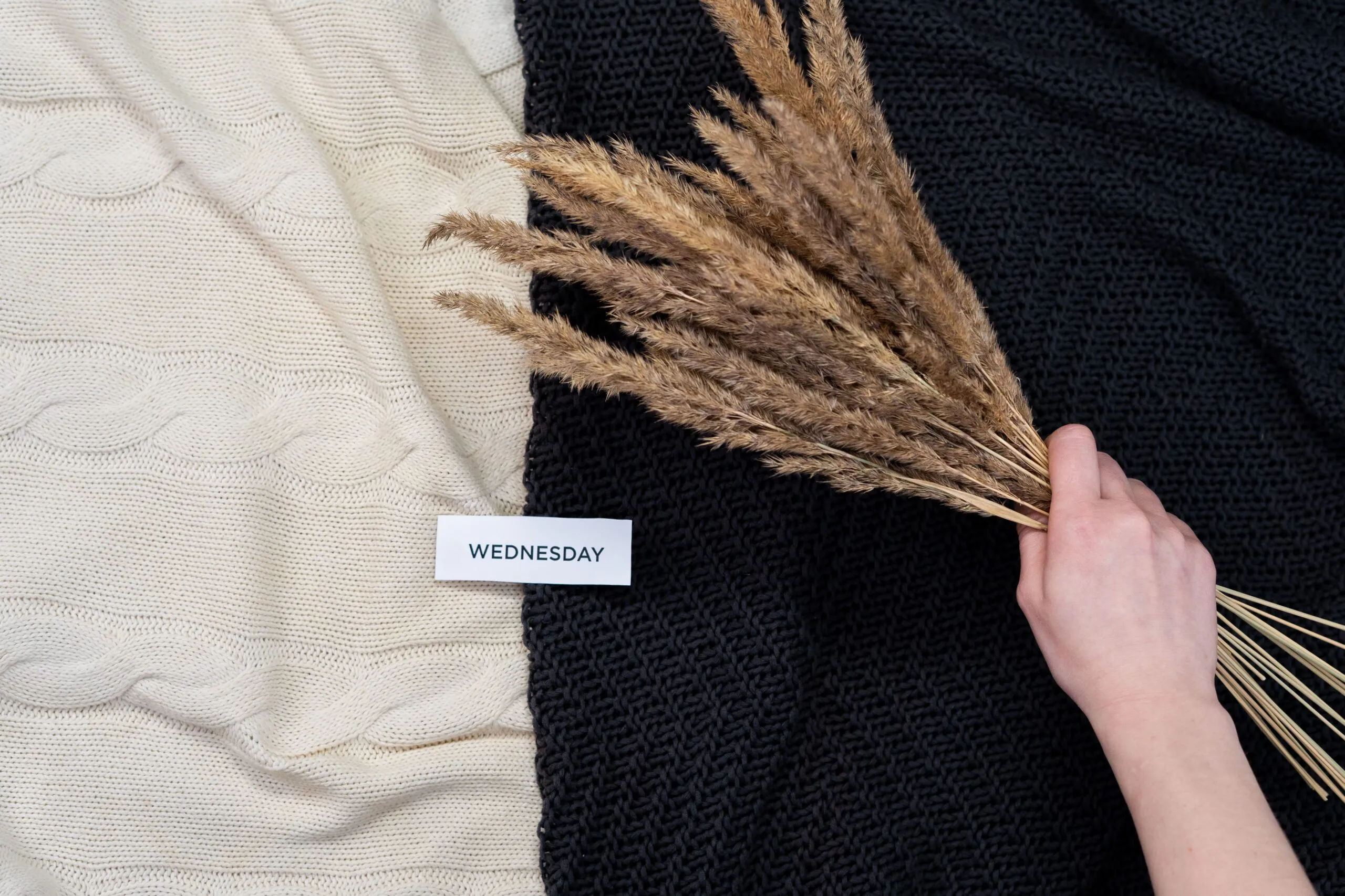 Aesthetic flatlay featuring dried grasses on woolen blankets with a text card reading 'Wednesday'.