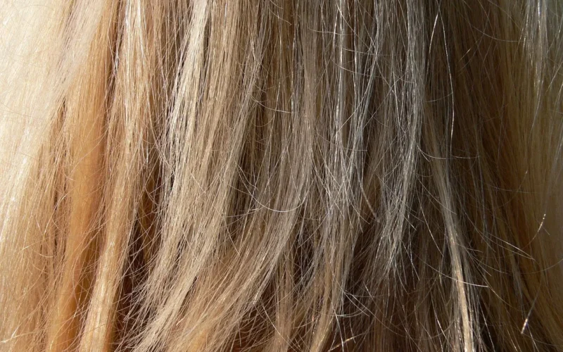 Total Blond 2026: Kompletny Przewodnik po Najmodniejszej Koloryzacji