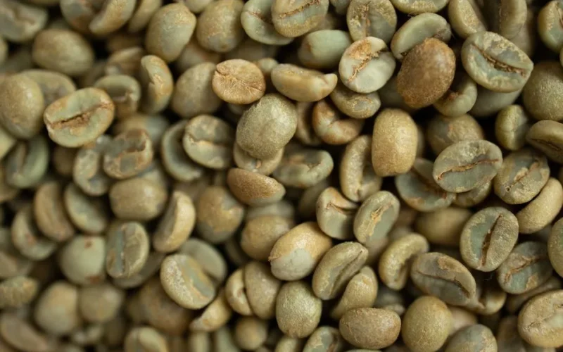 Detailed macro shot of freshly harvested green coffee beans, perfect for brewing.