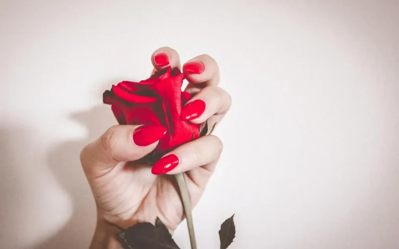 czerwony, tapeta kwiatowa, natura, paznokcie, manicure, dziewczynka, kwiat tło, manicure paznokci, kobieta, piękne kwiaty, kwiat róży, przepych, polskie, kolor, lakier do paznokci, makijaż, róża, kwiat